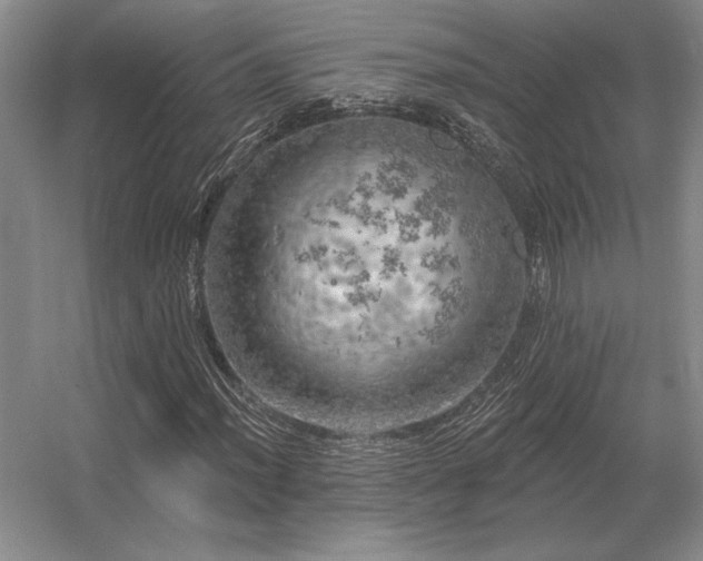 X0000056371012200509021808