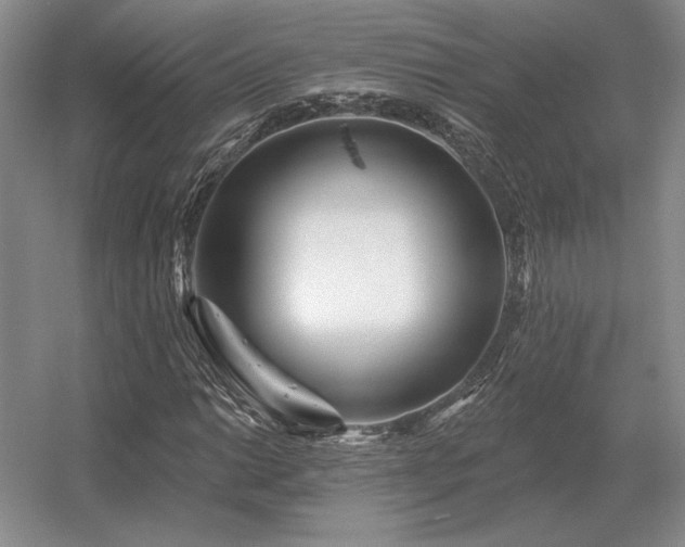 X0000056371014200509021808