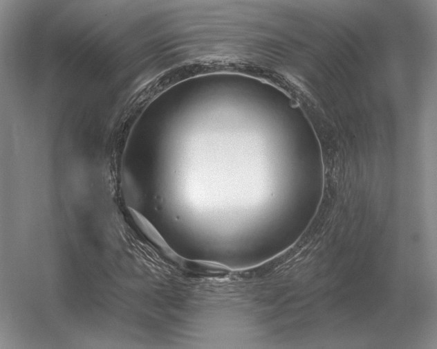 X0000056371015200509021808