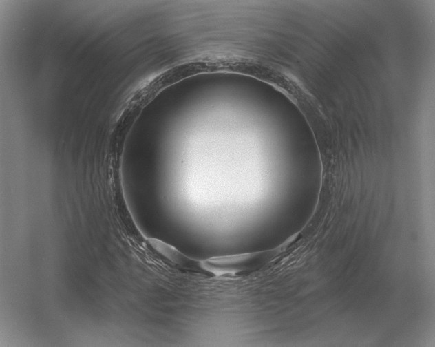 X0000056371016200509021808