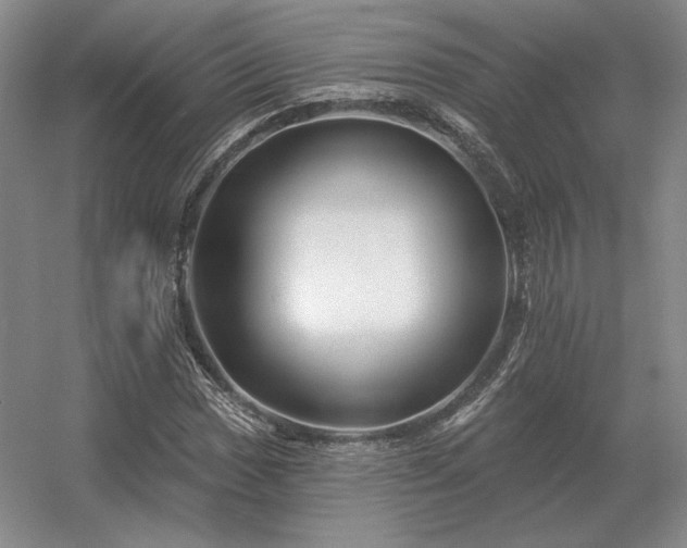 X0000056371017200509021808