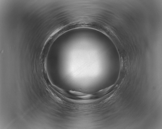 X0000056371018200509021808