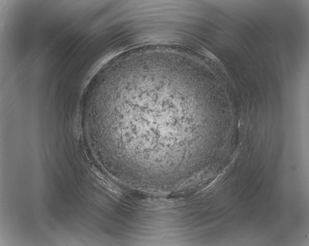 X0000056371019200509021808