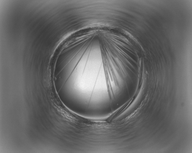 X0000056371021200509021808