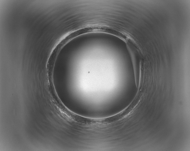 X0000056371022200509021809