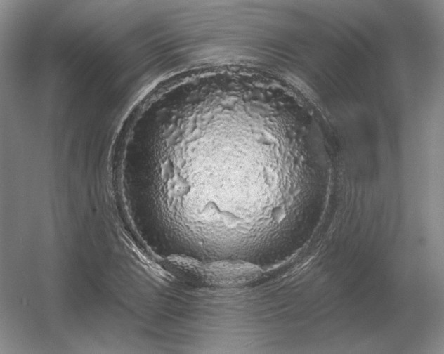 X0000056371023200509021809