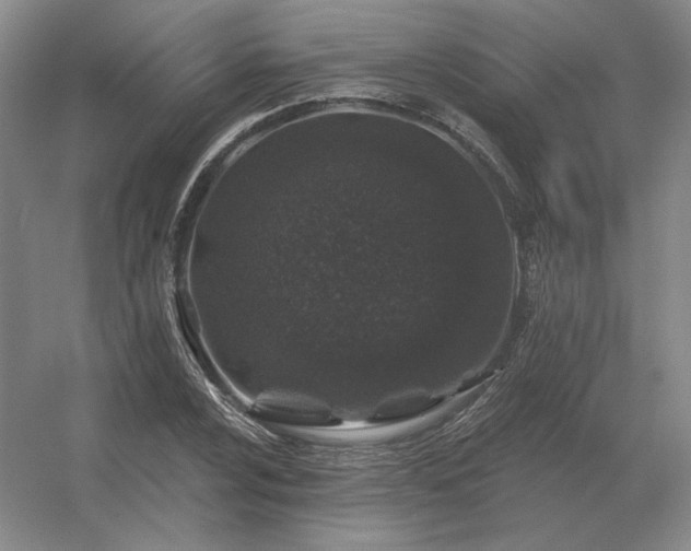 X0000056371024200509021809