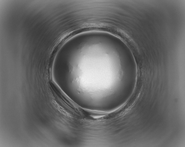 X0000056371025200509021809