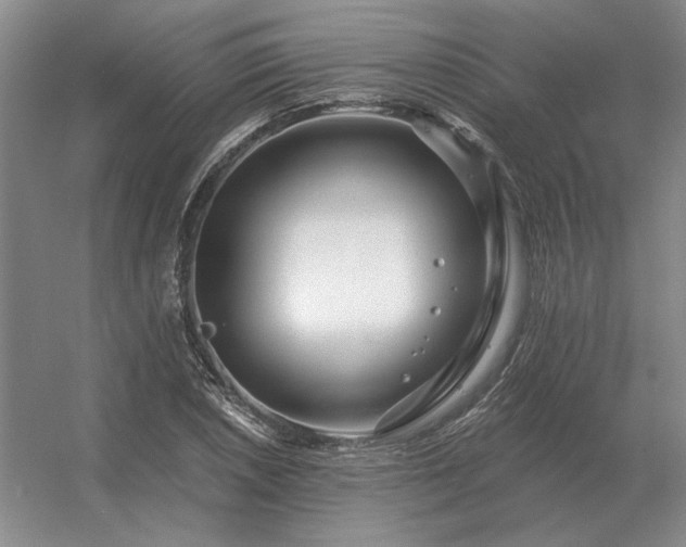 X0000056371026200509021809