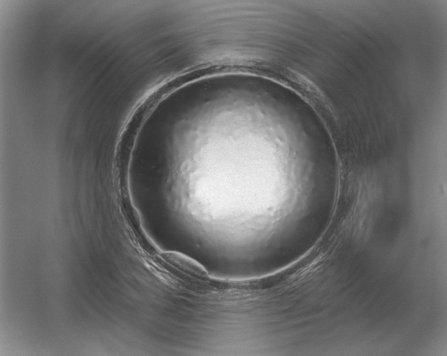 X0000056371027200509021809