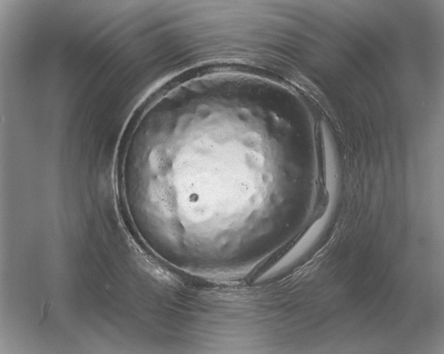 X0000056371028200509021809