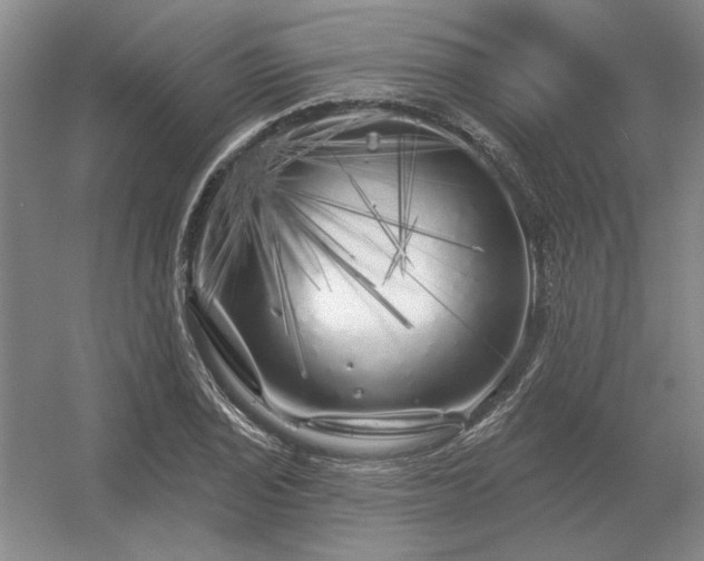 X0000056371029200509021809