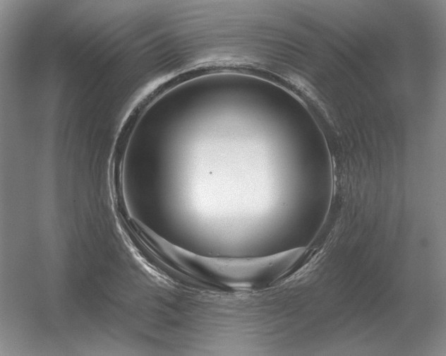 X0000056371030200509021809