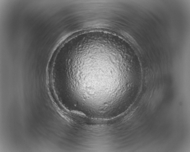 X0000056371031200509021809