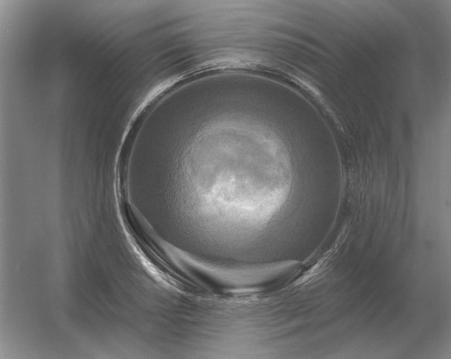 X0000056371034200509021809