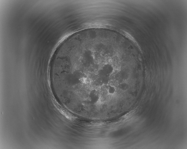 X0000056371035200509021809