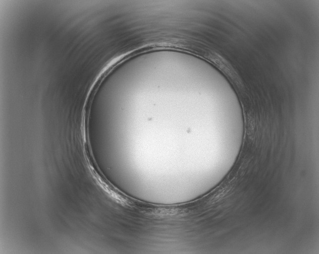 X0000056371036200509021809