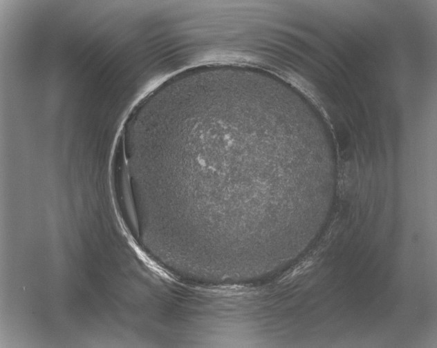 X0000056371037200509021809