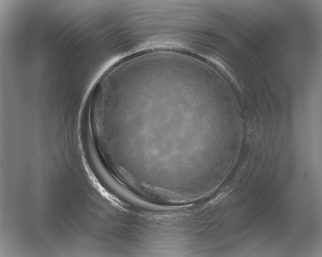 X0000056371038200509021809