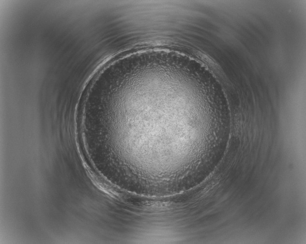 X0000056371039200509021809