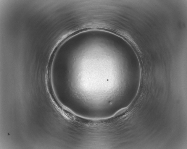 X0000056371040200509021809