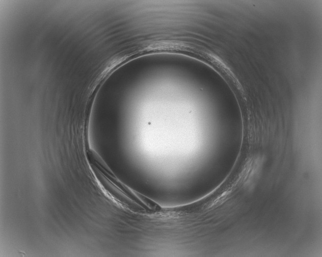 X0000056371041200509021809