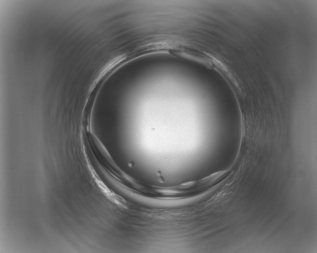 X0000056371042200509021809