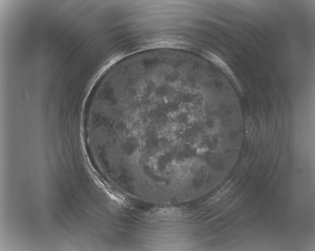 X0000056371043200509021809