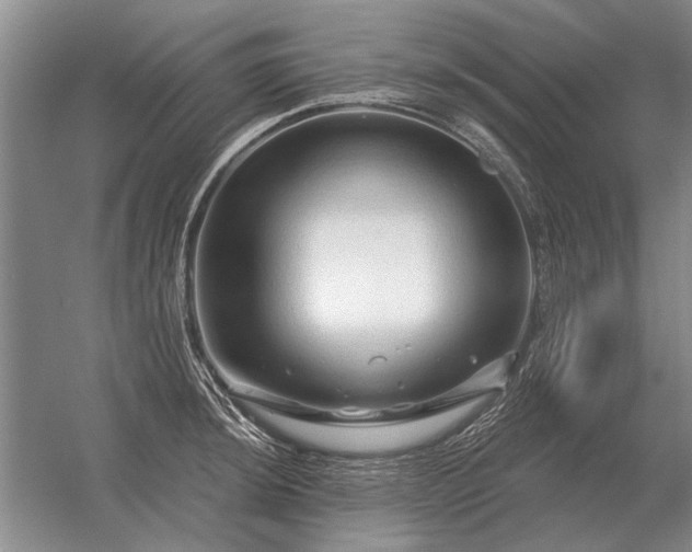 X0000056371044200509021809