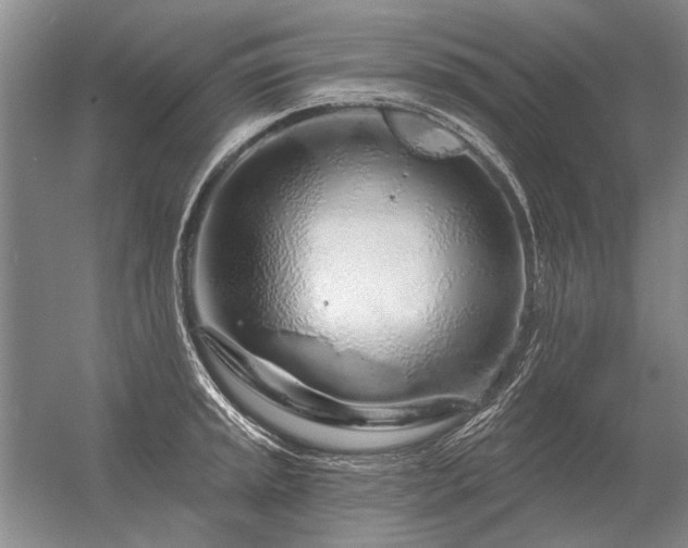 X0000056371045200509021809