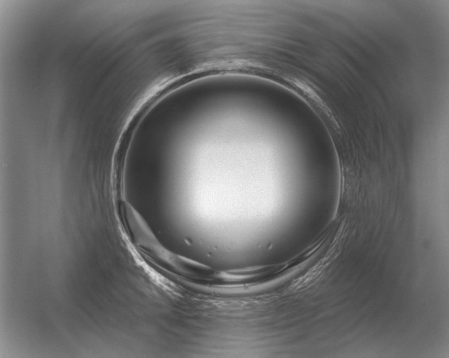 X0000056371046200509021809