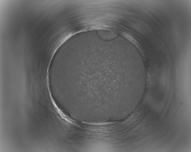 X0000056371047200509021809