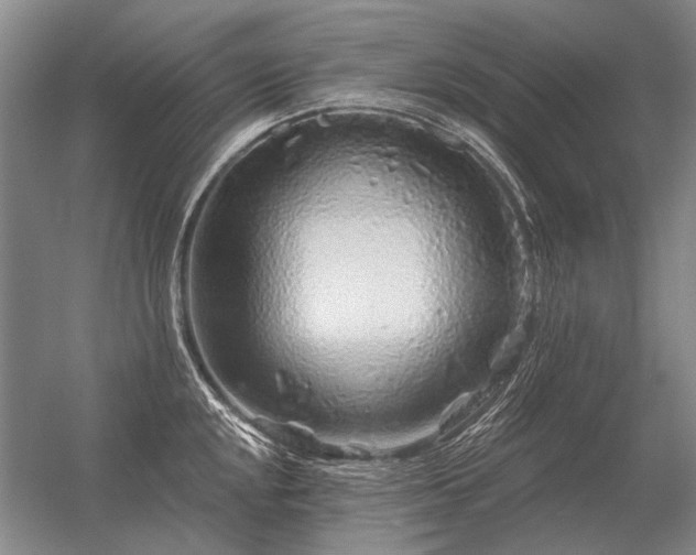 X0000056371048200509021809