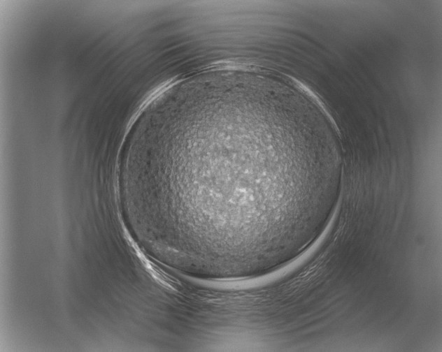 X0000056371050200509021809