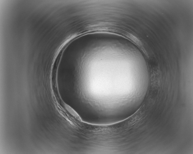 X0000056371051200509021809