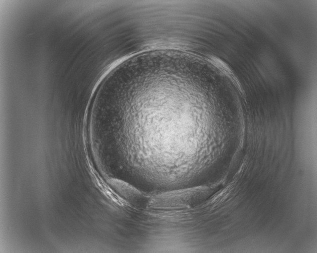 X0000056371052200509021809