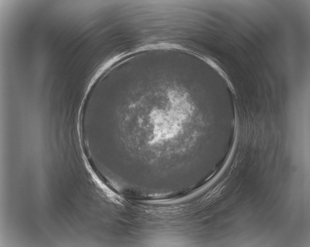 X0000056371054200509021809