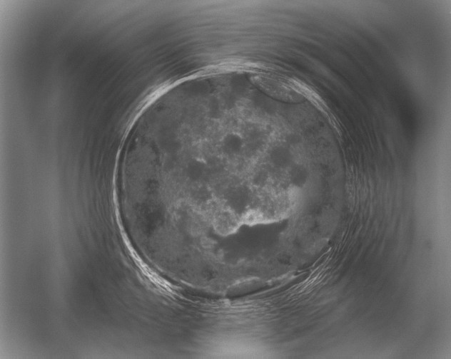 X0000056371055200509021809