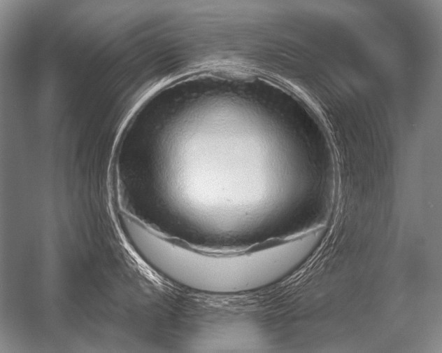 X0000056371056200509021809