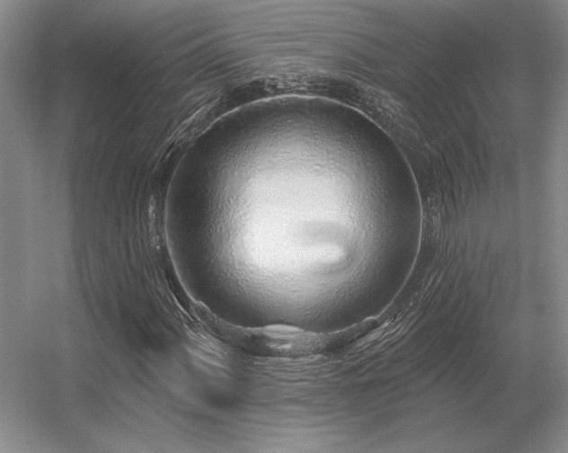 X0000056371060200509021808