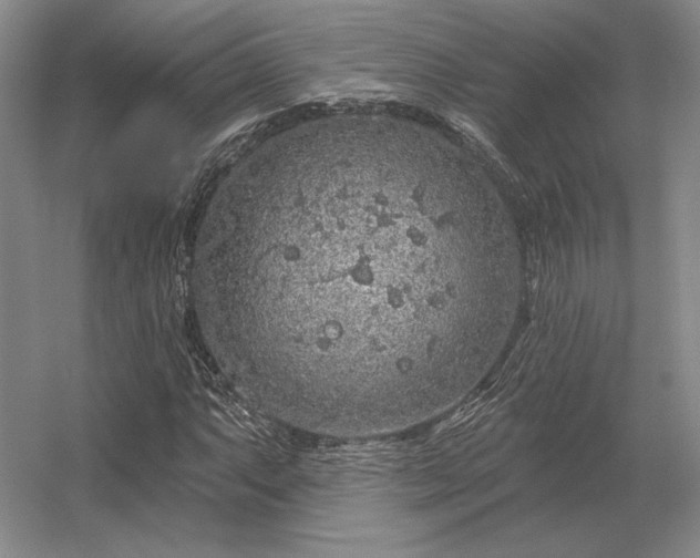 X0000056371063200509021808