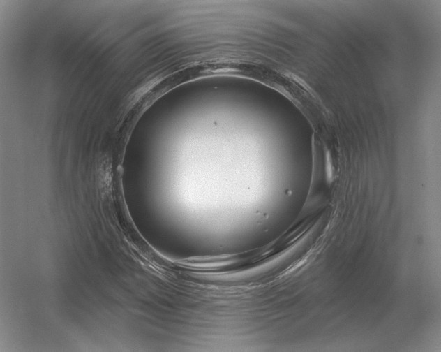 X0000056371065200509021808