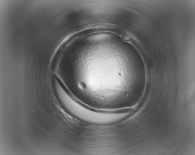 X0000056371067200509021808