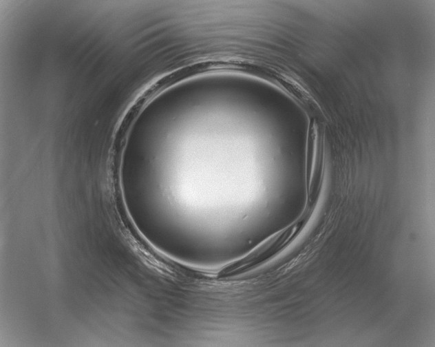 X0000056371068200509021808