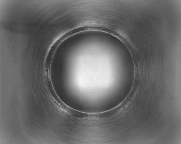 X0000056371070200509021808