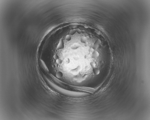 X0000056371071200509021808