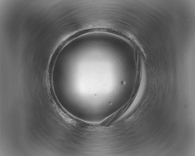 X0000056371072200509021808