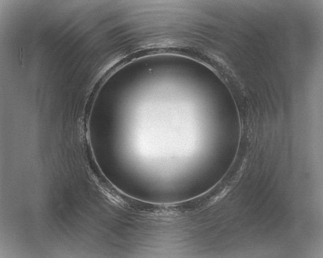 X0000056371073200509021808