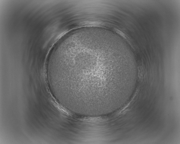 X0000056371074200509021808