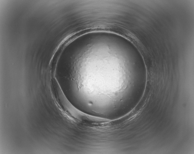 X0000056371075200509021808